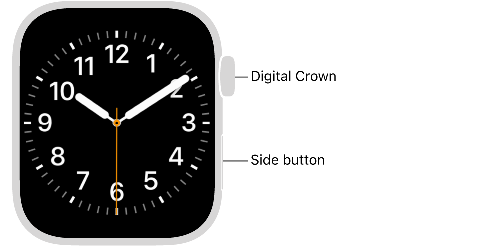 The front of Apple Watch, with the Digital Crown shown at the top on the right side of the watch and the side button shown at the bottom right.