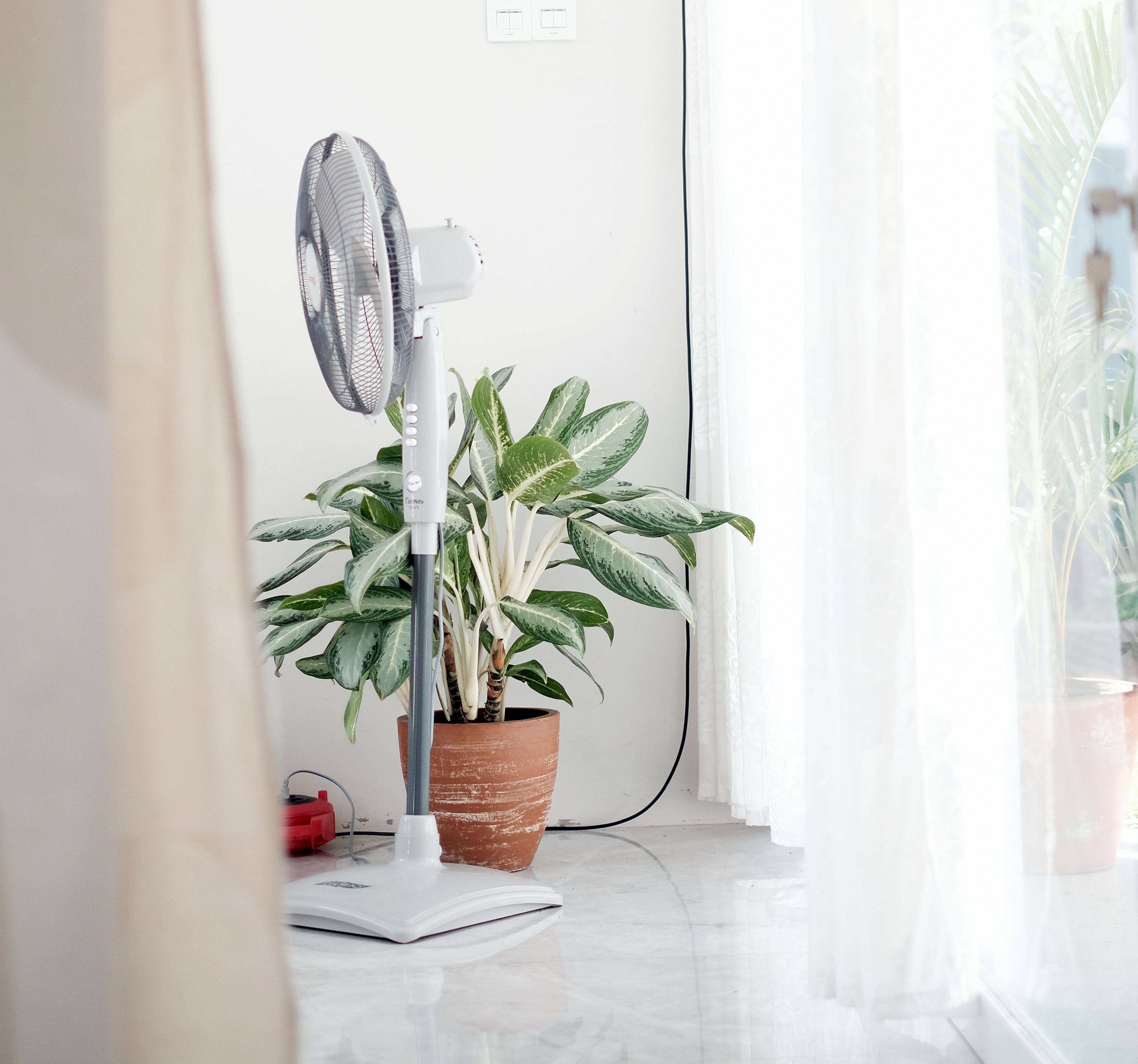 Why Is My Fan So Noisy? Safe Fan Cleaning and Maintenance Tips 