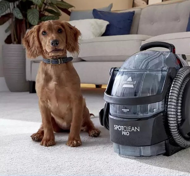 The Essential Guide to Carpet Cleaners: Uses, Care, and Handy Tips 