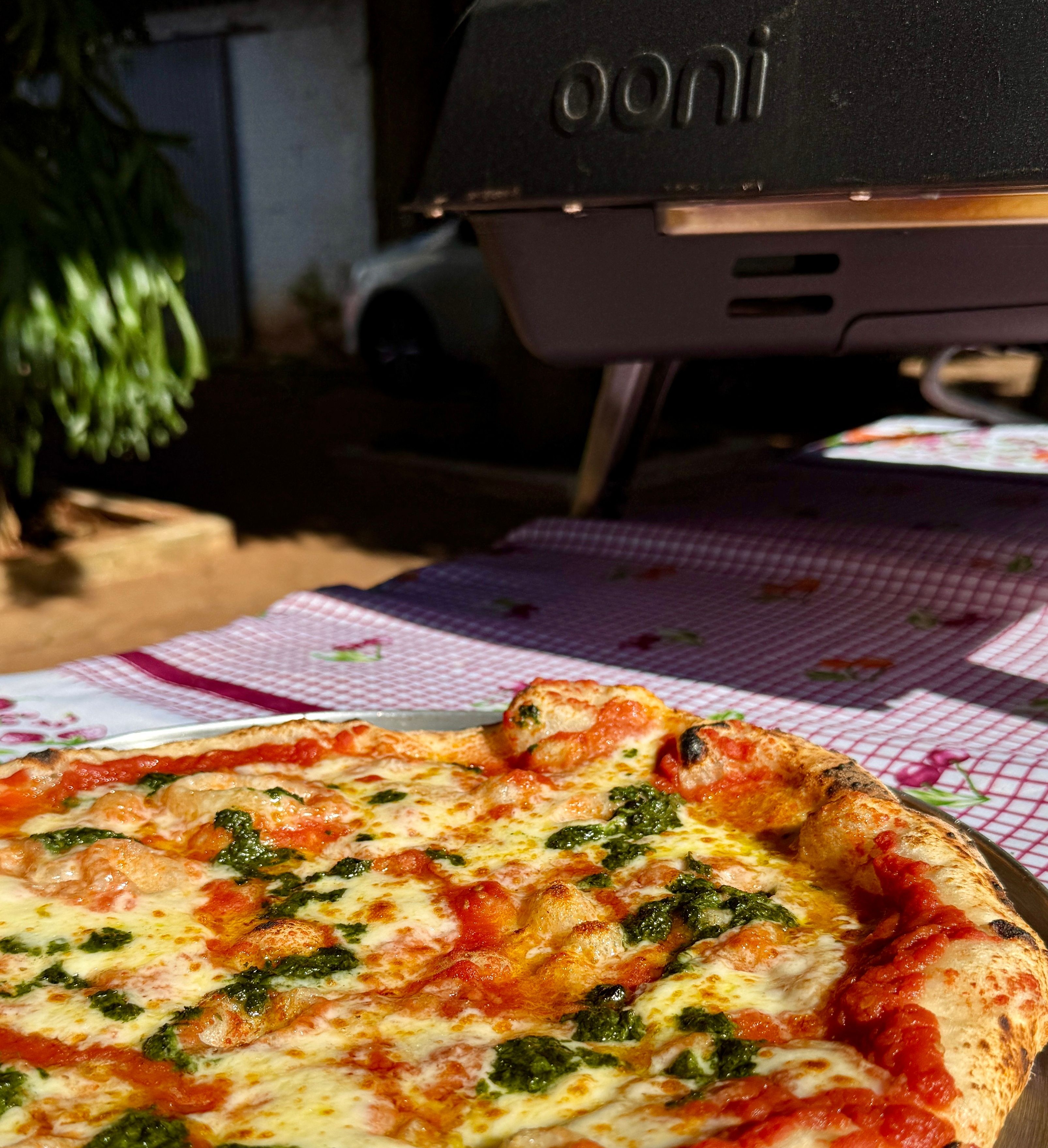 Pizza Oven Care Guide: Maintenance Tips to Keep Every Pizza Perfect 