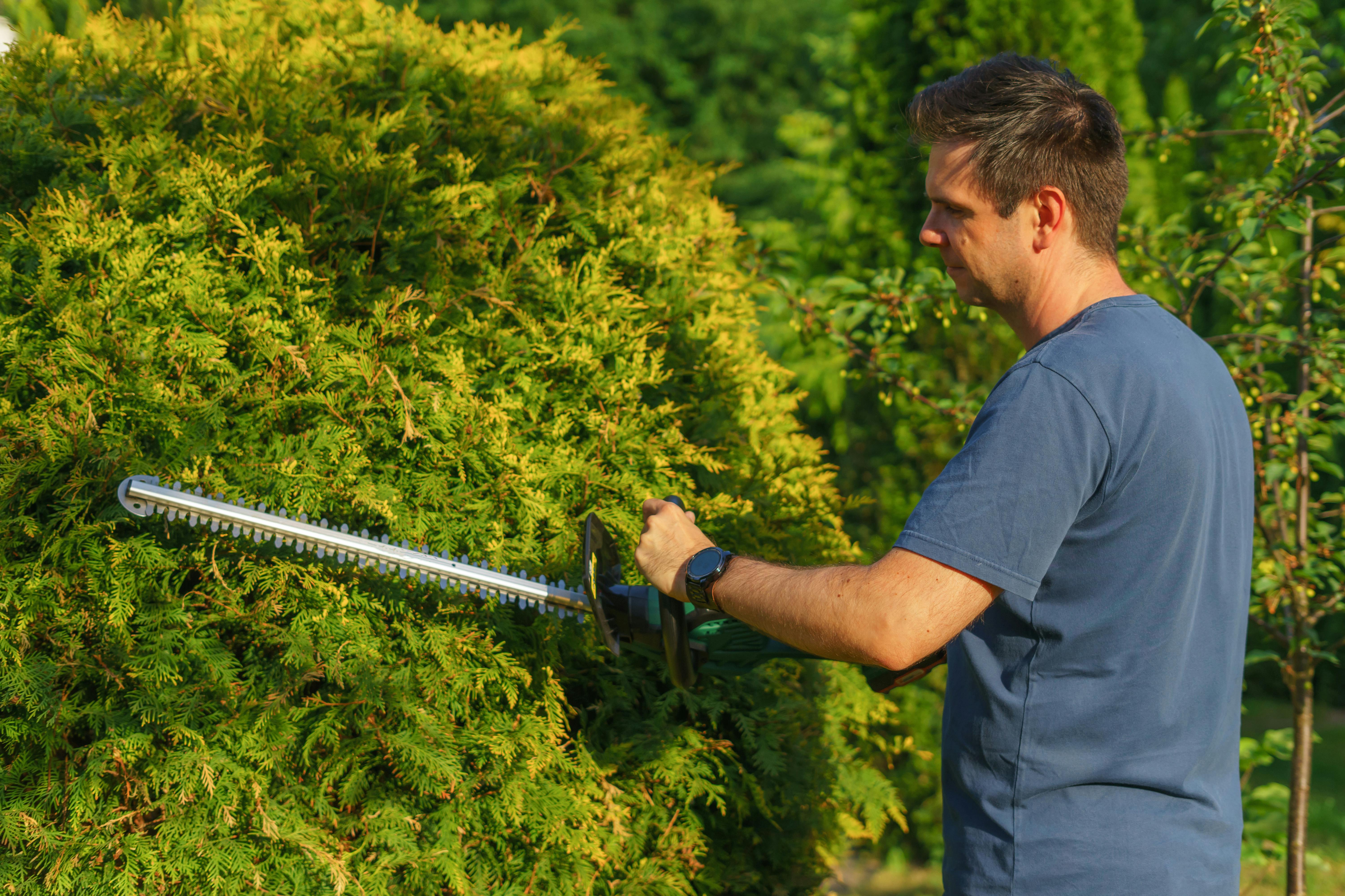Garden Tool Maintenance: Keep Your Equipment in Top Shape