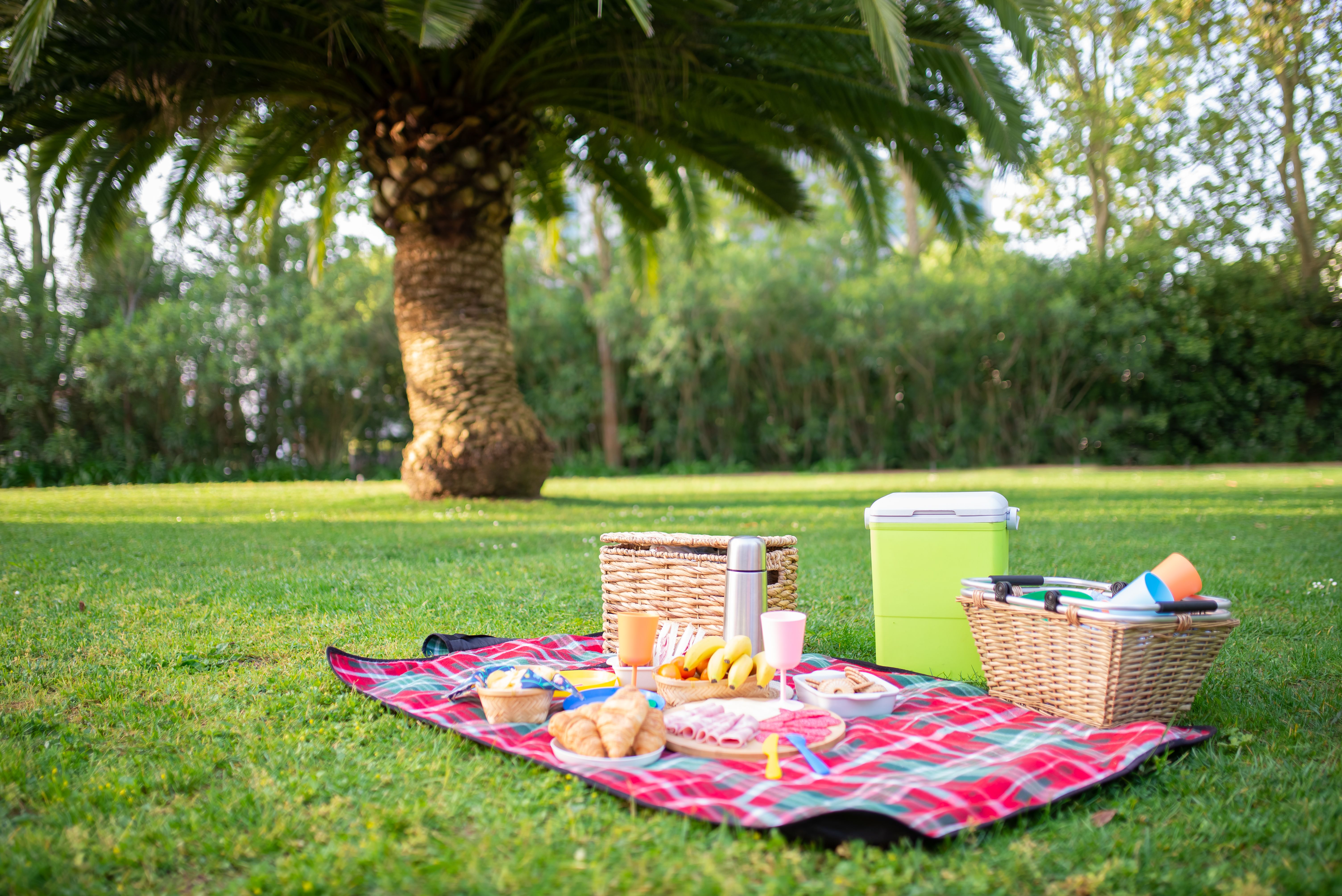 Picnic Checklist: Essentials for a Perfect Day Out 