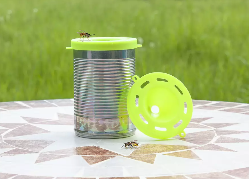 How to Keep Wasps Away from Your Picnic This Summer 